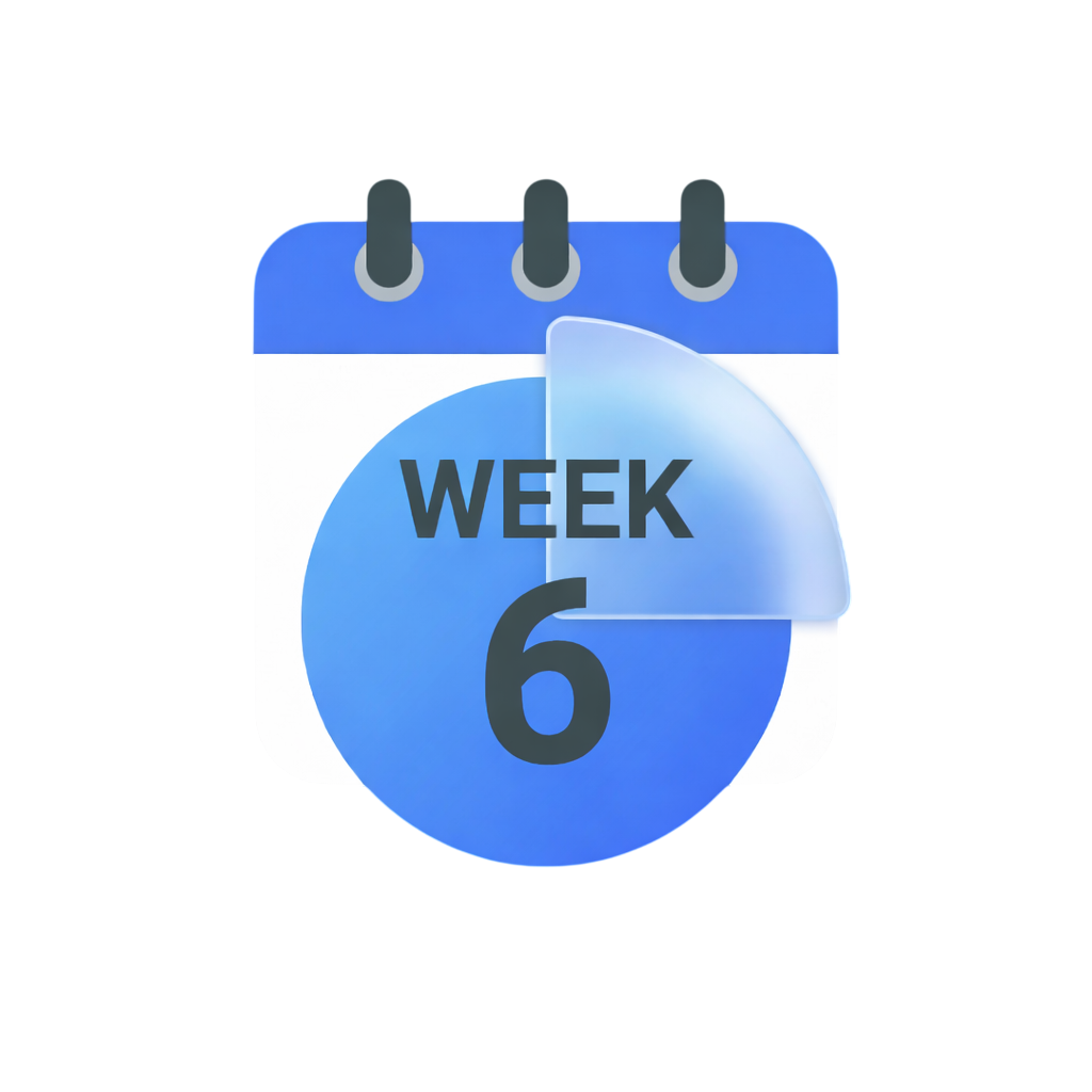 Week 6 Icon