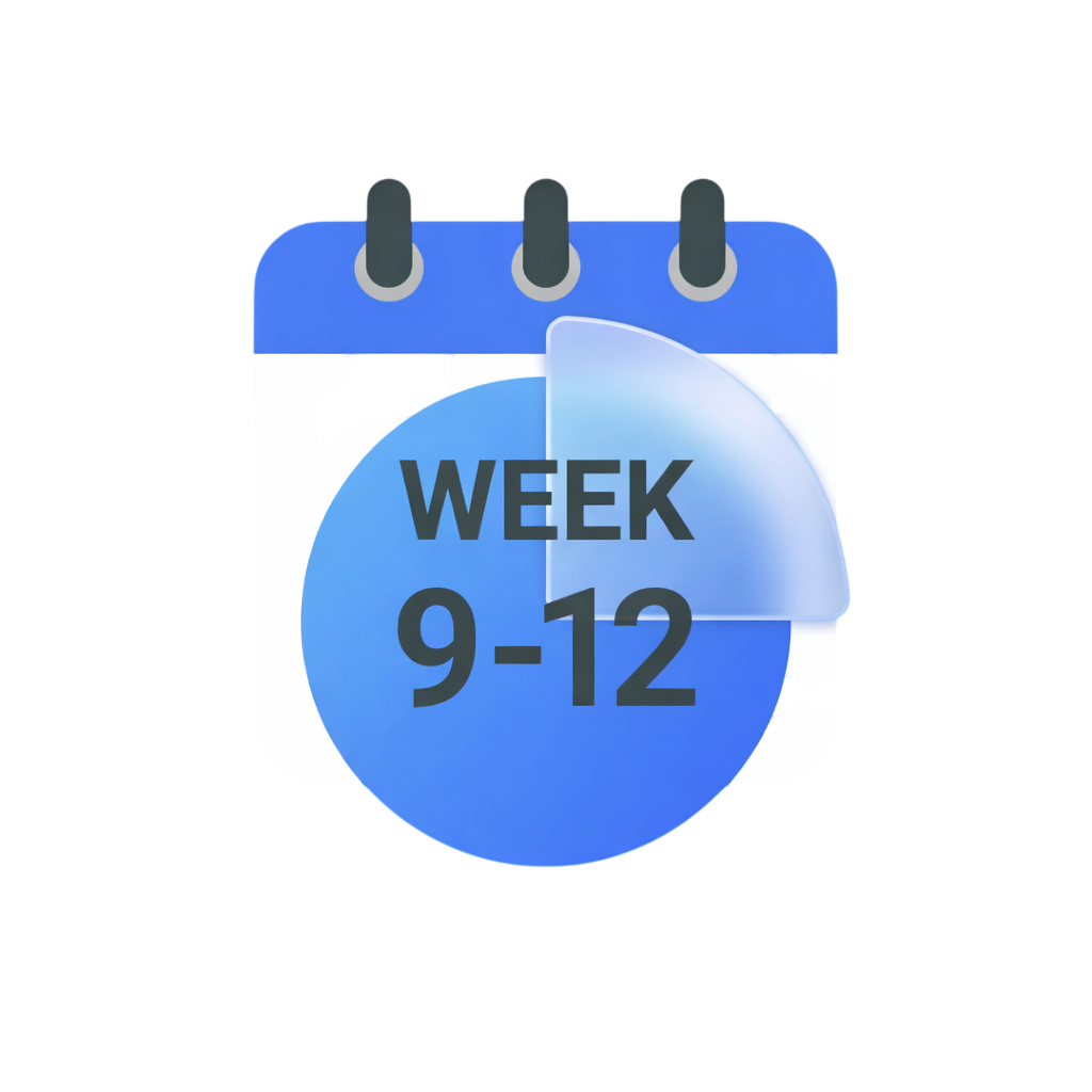 Week 9-12 Icon